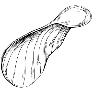 Bir mantar çiziminin vektör çizimi