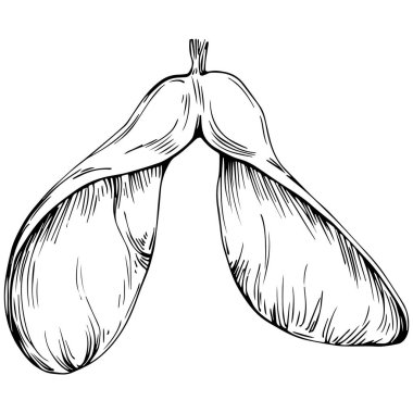 Genç bir kadının el çizimi..