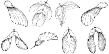 El çizimi çizimi set-yiyecek çizimi.