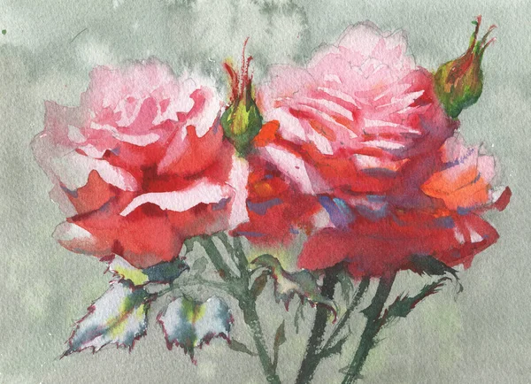 Τριαντάφυλλο Λουλούδια Ακουαρέλα Εικόνα Κομψό Μπουκέτο Ζωγραφική Για Σχεδιασμό Αφισών — Φωτογραφία Αρχείου