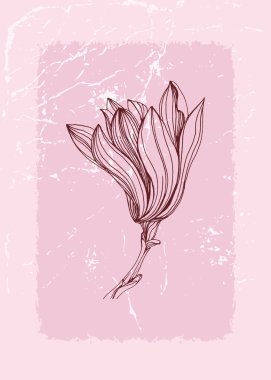 Manolya Botanik Duvarı, tropikal resimler. Eski moda ve soyut şekilli yaprak çizimi. Grunge Bitki Sanat Tasarımı baskı, kapak, duvar kağıdı, Asgari ve doğal duvar sanatı.