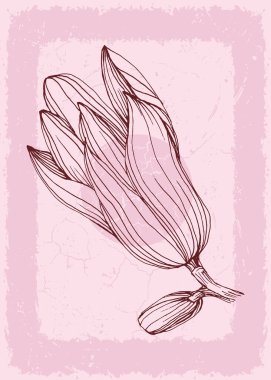 Manolya Botanik Duvarı, tropikal resimler. Eski moda ve soyut şekilli yaprak çizimi. Grunge Bitki Sanat Tasarımı baskı, kapak, duvar kağıdı, Asgari ve doğal duvar sanatı.