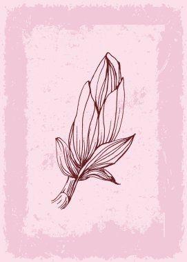 Manolya Botanik Duvarı, tropikal resimler. Eski moda ve soyut şekilli yaprak çizimi. Grunge Bitki Sanat Tasarımı baskı, kapak, duvar kağıdı, Asgari ve doğal duvar sanatı.