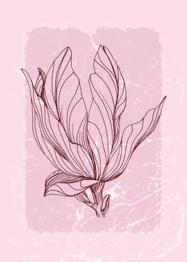 Manolya Botanik Duvarı, tropikal resimler. Eski moda ve soyut şekilli yaprak çizimi. Grunge Bitki Sanat Tasarımı baskı, kapak, duvar kağıdı, Asgari ve doğal duvar sanatı.