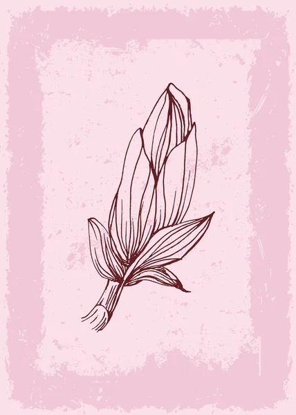 Manolya Botanik Duvarı, tropikal resimler. Eski moda ve soyut şekilli yaprak çizimi. Grunge Bitki Sanat Tasarımı baskı, kapak, duvar kağıdı, Asgari ve doğal duvar sanatı.