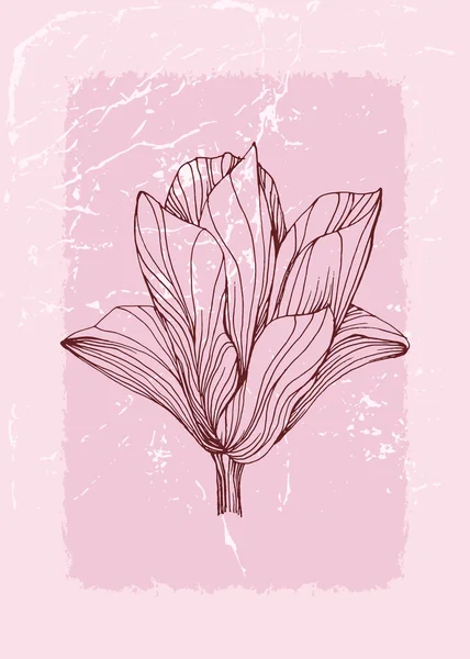 Magnolia Botanische Muur Kunst Tropische Illustratie Foliage Lijn Kunst Tekening — Stockvector