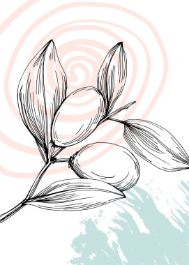 Jojoba Soyut El Boyalı Resimleri Duvar Dekorasyonu, Kartpostal, Sosyal Medya Afişi, Broşür Kapak Tasarımı Özgeçmişi. Modern Soyut Boyama Sanatı. Vektör Deseni