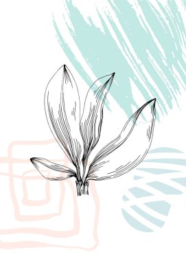 Jojoba Soyut El Boyalı Resimleri Duvar Dekorasyonu, Kartpostal, Sosyal Medya Afişi, Broşür Kapak Tasarımı Özgeçmişi. Modern Soyut Boyama Sanatı. Vektör Deseni