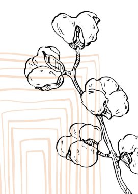 Cotton Soyut El Boyalı Resimleri Duvar Dekorasyonu, Kartpostal, Sosyal Medya Afişi, Broşür Kapak Tasarımı Özgeçmişi. Modern Soyut Boyama Sanatı. Vektör Deseni