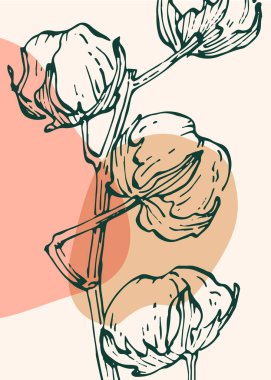 Cotton Soyut El Boyalı Resimleri Duvar Dekorasyonu, Kartpostal, Sosyal Medya Afişi, Broşür Kapak Tasarımı Özgeçmişi. Modern Soyut Boyama Sanatı. Vektör Deseni