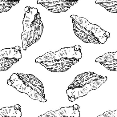 Kabuk deseni tek çizgi şeklinde. Bitkinin ana hatları: siyah beyaz oymalı mürekkep kabukları. Arkaplan, doku, ambalaj deseni, çerçeve veya kenar için yabani çiçek çiz.