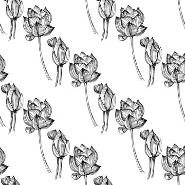 Yaban çiçeği nilüfer çiçeği deseni tek sıra şeklinde. Bitkinin ana hatları: siyah-beyaz oymalı mürekkep sanatsal loto. Arkaplan, doku, ambalaj deseni, çerçeve veya kenar için yabani çiçek çiz.
