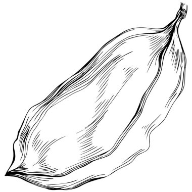 El çizimi siyah-beyaz fasulye vektör çizimi