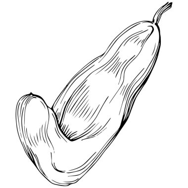 El çizimi siyah-beyaz fasulye vektör çizimi