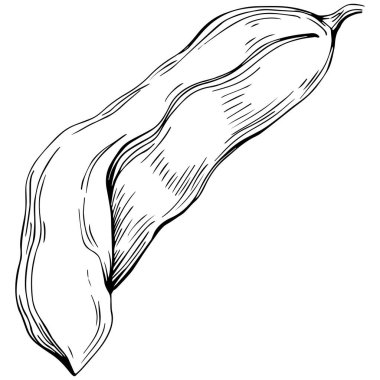 El çizimi siyah-beyaz fasulye vektör çizimi