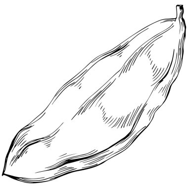 El çizimi siyah-beyaz fasulye vektör çizimi