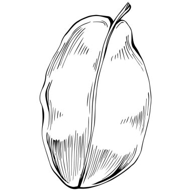 Siyah ve beyaz el çizimi çiçek elementleri vektör illüstrasyonu 