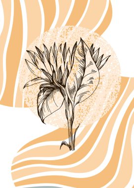 Duvar Dekorasyonu, Kartpostal, Sosyal Medya Afişi, Broşür Kapak Tasarımı için Ayçiçeği Resimli Resimler. Modern Soyut Resim Sanatı.