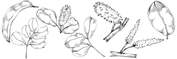 Black White Hand Drawn Floral Elements Vector Illustration — ストックベクタ