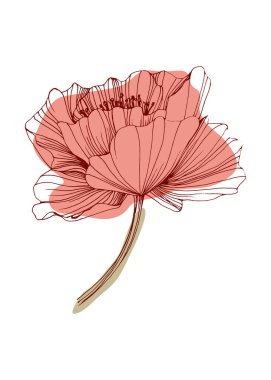 Poppy Soyut El Boyalı Resimleri Duvar Dekorasyonu, Kartpostal, Sosyal Medya Afişi, Broşür Kapağı Tasarım Arkaplanı. Modern Soyut Boyama Sanatı. Vektör Deseni