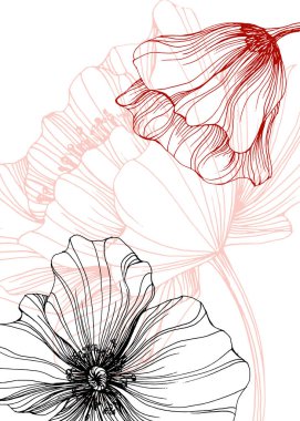 Poppy Soyut El Boyalı Resimleri Duvar Dekorasyonu, Kartpostal, Sosyal Medya Afişi, Broşür Kapağı Tasarım Arkaplanı. Modern Soyut Boyama Sanatı. Vektör Deseni