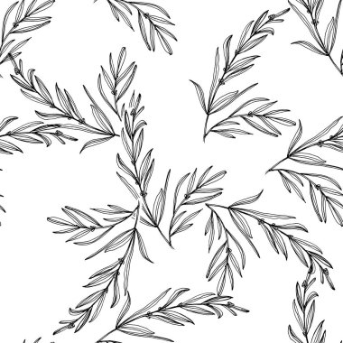 Yaban çiçeği lavanta deseni tek sıra şeklinde. Bitkinin ana hatları: siyah-beyaz oymalı mürekkep sanatı. Arkaplan, doku için yabani çiçek çiz