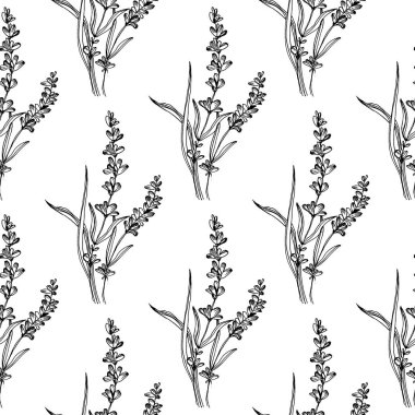 Yaban çiçeği lavanta deseni tek sıra şeklinde. Bitkinin ana hatları: siyah-beyaz oymalı mürekkep sanatı. Arkaplan, doku için yabani çiçek çiz