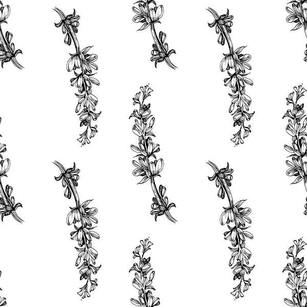 Modèle Fleur Lavande Fleur Sauvage Dans Style Une Ligne Aperçu — Image vectorielle