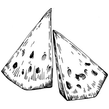 Karpuz çizimi vektör çizimi. İzole edilmiş el resmi beyaz arka planda. Yaz meyvesi oymalı tasvir. Yiyecek ambalajı için dekorasyon.