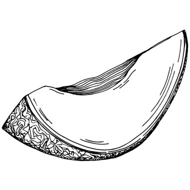 Kavun gerçekçi vektör çizimi. Restoran menüsü, market etiketi, logo, amblem ve mutfak tasarımı için dekoratif retro koleksiyon el yapımı çiftlik ürünü. Yiyecek ambalajı için dekorasyon.