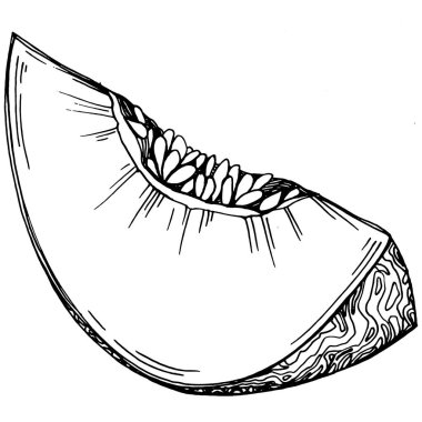 Kavun gerçekçi vektör çizimi. Restoran menüsü, market etiketi, logo, amblem ve mutfak tasarımı için dekoratif retro koleksiyon el yapımı çiftlik ürünü. Yiyecek ambalajı için dekorasyon.