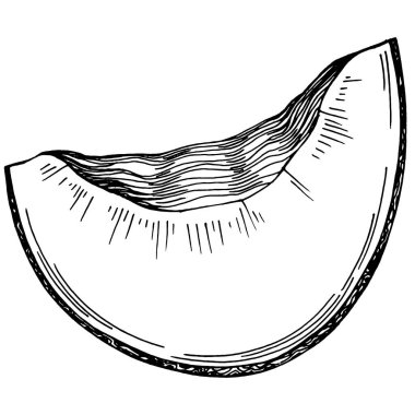 Kavun gerçekçi vektör çizimi. Restoran menüsü, market etiketi, logo, amblem ve mutfak tasarımı için dekoratif retro koleksiyon el yapımı çiftlik ürünü. Yiyecek ambalajı için dekorasyon.