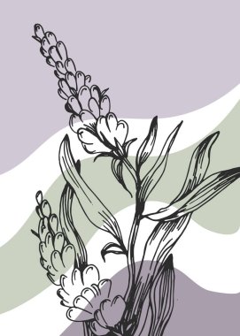 Duvar Dekorasyonu, Kartpostal, Sosyal Medya Afişi, Broşür Kapak Tasarımı için Lavanta El Boyalı Resimler. Modern Soyut Boyama Sanatı. Vektör Deseni