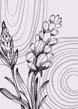 Duvar Dekorasyonu, Kartpostal, Sosyal Medya Afişi, Broşür Kapak Tasarımı için Lavanta El Boyalı Resimler. Modern Soyut Boyama Sanatı. Vektör Deseni