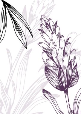 Duvar Dekorasyonu, Kartpostal, Sosyal Medya Afişi, Broşür Kapak Tasarımı için Lavanta El Boyalı Resimler. Modern Soyut Boyama Sanatı. Vektör Deseni