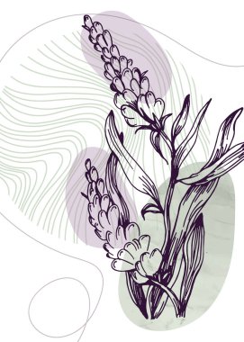 Duvar Dekorasyonu, Kartpostal, Sosyal Medya Afişi, Broşür Kapak Tasarımı için Lavanta El Boyalı Resimler. Modern Soyut Boyama Sanatı. Vektör Deseni