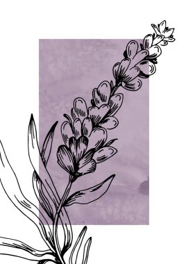Duvar Dekorasyonu, Kartpostal, Sosyal Medya Afişi, Broşür Kapak Tasarımı için Lavanta El Boyalı Resimler. Modern Soyut Boyama Sanatı. Vektör Deseni