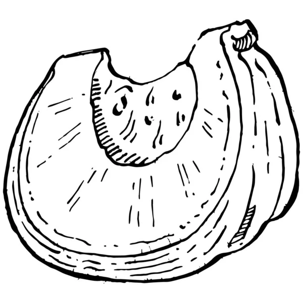 Croquis Vectoriel Citrouille Dessiné Main Objet Isolé Avec Illustration Style — Image vectorielle