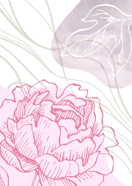 Peony Abstract Ilustraciones Pintadas Mano Para Decoración Pared Postal Banner — Vector de stock