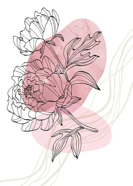 Peony Abstract Ilustraciones Pintadas Mano Para Decoración Pared Postal Banner — Vector de stock