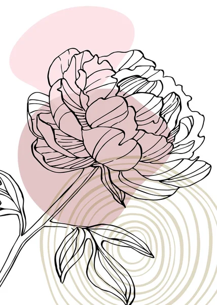 Peony Abstract Ilustraciones Pintadas Mano Para Decoración Pared Postal Banner — Vector de stock