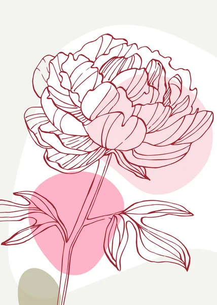 Peony Abstract Ilustrações Pintadas Mão Para Decoração Parede Cartão Postal — Vetor de Stock