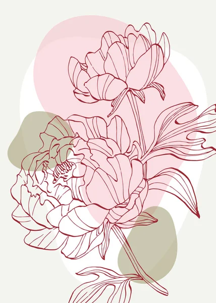 Peony Abstract Ilustraciones Pintadas Mano Para Decoración Pared Postal Banner — Vector de stock