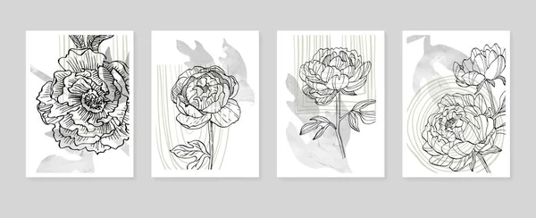 Peony Abstract Ilustraciones Pintadas Mano Para Decoración Pared Postal Banner — Vector de stock