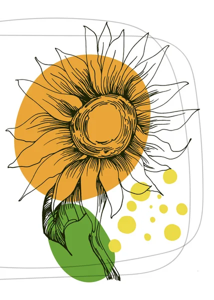 Sunflower Abstract Hand Painted Illustrations Wall Decoration Postcard Social Media — ストックベクタ