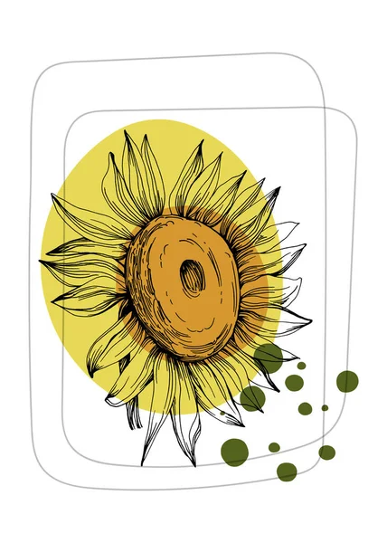 Sunflower Abstract Hand Painted Illustrations Wall Decoration Postcard Social Media - Stok Vektor