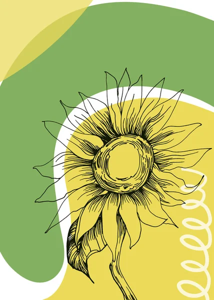 Sunflower Abstract Hand Painted Illustrations Wall Decoration Postcard Social Media — Vector de stock