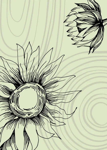 Sunflower Abstract Hand Painted Illustrations Wall Decoration Postcard Social Media — 스톡 벡터