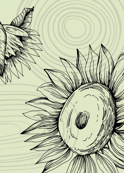 Sunflower Abstract Hand Painted Illustrations Wall Decoration Postcard Social Media — 스톡 벡터