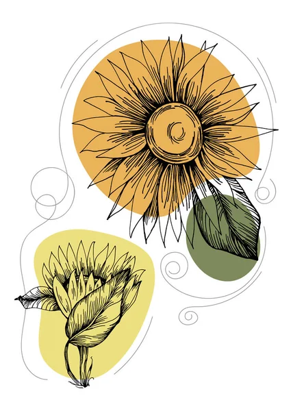 Sunflower Abstract Hand Painted Illustrations Wall Decoration Postcard Social Media - Stok Vektor